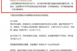 铜陵为什么选择专业追讨公司来处理您的债务纠纷？